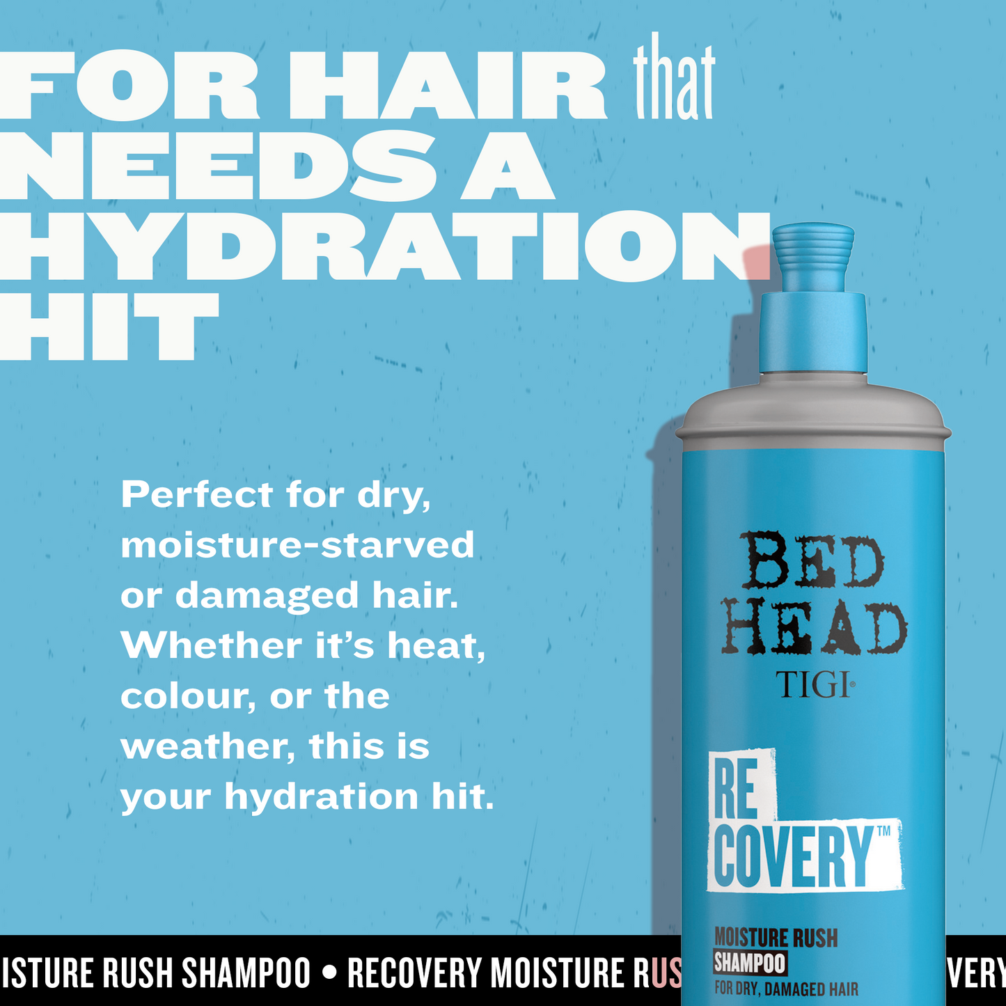 pothead hair care products Recovery Moisturizing Shampoo